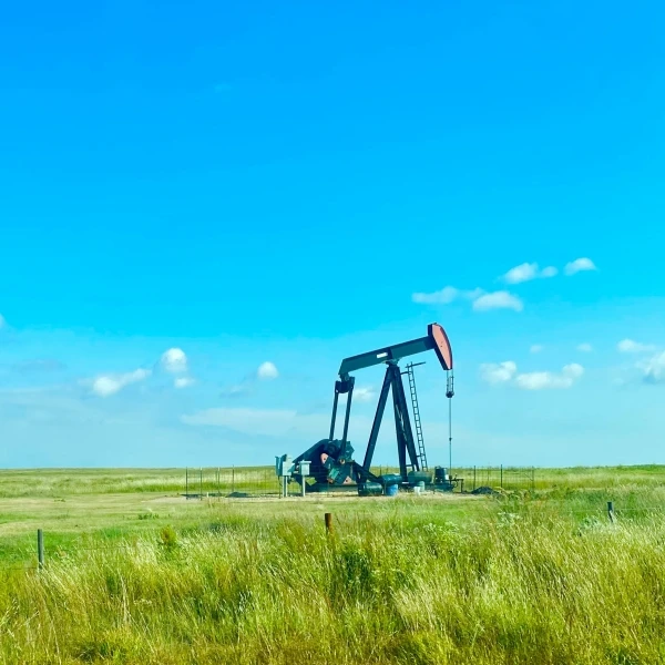 Drilling Management Services